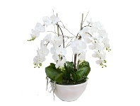LivingStyles Diane Artificial Phalaenopsis Orchid in Pot, 72x75cm, White Flower / White Pot offer