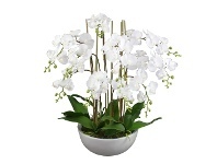 LivingStyles Diane Artificial Phalaenopsis Orchid in Pot, 48x75cm, White Flower / White Pot offer