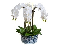 LivingStyles Dynasty Artificial Phalaenopsis Orchid in Pot, 52x60cm, White Flower offer
