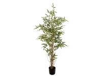 LivingStyles Glamorous Fusion Potted Artificial Golden Goddess Bamboo, 170cm offer