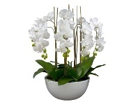 LivingStyles Diane Artificial Phalaenopsis Orchid in Pot, 50x75cm, White Flower / White Pot offer