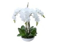 LivingStyles Montray Artificial Phalaenopsis Orchid in Pot, 60cm, White Flower offer