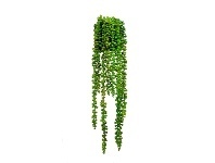 LivingStyles Glamorous Fusion Potted Artificial String of Pearls, 56cm offer