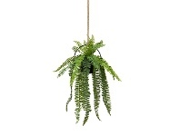 LivingStyles Elias Mixed Artificial Fern in Hanging Pot, 60cm offer