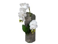 LivingStyles Misato Artificial Phalaenopsis Orchid Arrangement, 65cm offer