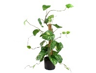 LivingStyles Glamorous Fusion Potted Artificial Climbing Pothos, 100cm offer