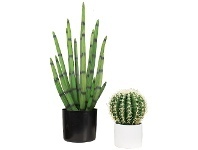 LivingStyles Glamorous Fusion Potted Artificial Sansevieria Plant & Cactus Set offer