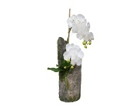 LivingStyles Ayaka Artificial Phalaenopsis Orchid Arrangement, 62cm offer