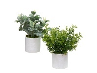 LivingStyles Glamorous Fusion Potted Artificial Dusty Miller & Parsely Fern Set offer