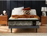 Snooze Madison Times Square Queen mattress with Ergo Massage Base offer