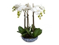 LivingStyles Dynasty Artificial Phalaenopsis Orchid in Pot, 45x55cm, White Flower offer