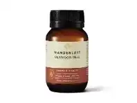 Chemist Warehouse Wanderlust Mushroom Multi offer