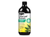 Chemist Warehouse Comvita High Strength Olive Leaf Extract 1 Litre Peppermint offer