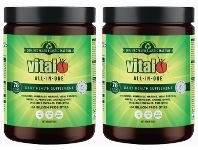 Vital All in One 300g Powder