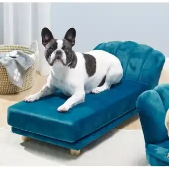 Coles Pets unlimited plush chaise lounge offer