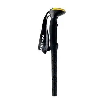 Mountain designs tread cork walking pole