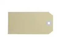 Avery Buff Shipping Tags Size 5 120 x 60mm1000 Box