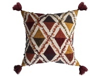LivingStyles Pablo Embroidered Cotton Scatter Cushion offer