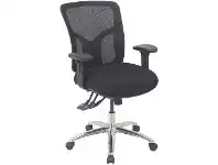 Officeworks Stilford Professional Ergonomic Extra-Heavy-Duty Mesh Chair Black offer