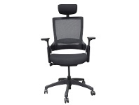LivingStyles Merna Mesh Fabric Ergonomic Office Chair with Head Rest, Black offer