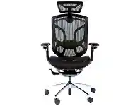 ONEX GT-DV-10E X-Pace Ergonomic Gaming / Office Chair, Black / Silver