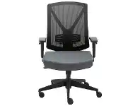 LivingStyles Miro Mesh Back Office Chair offer