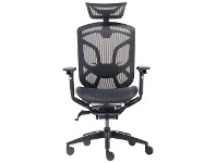 LivingStyles ONEX GT-DV-10E X-Pace Ergonomic Gaming / Office Chair, Black offer