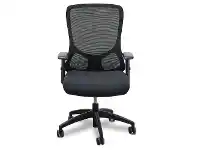 LivingStyles Laffer Mesh Fabric Office Chair offer