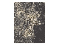 LivingStyles Legacy Rings Modern Rug, 240x330cm, Grey offer