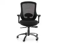 Abelia Mesh Office Chair