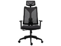 LivingStyles Orton Mesh Fabric Ergonomic Office Chair offer