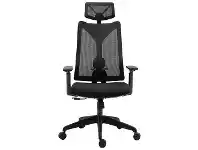 Orton Mesh Fabric Ergonomic Office Chair