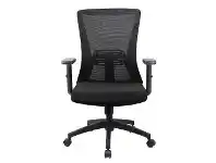 LivingStyles Hingis Mesh Fabric Ergonomic Office Chair, Black offer