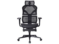 LivingStyles Alpha Mesh Fabric Ergonomic Executive Office Chair offer