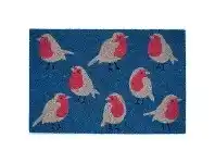 Robin Birds Coir Doormat, 60x40cm