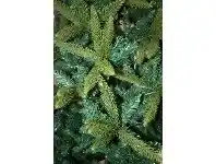 The Party People Shop Christmas Tree - Green Pine 210 cm 1731 Tips offer