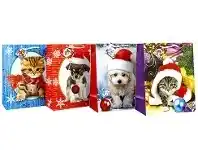 The Party People Shop Gift Bag - Christmas, Pet Designs Assorted offer