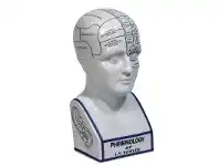 LivingStyles Porcelain Phrenology Head Bust offer