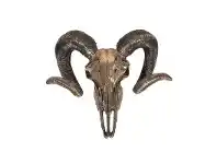 Veronese Cold Cast Bronze Coated Animal Skull Wall Art, Ram Skull