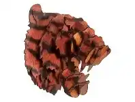 LivingStyles Safari DIY 3D Puzzle Wall Decor, Tiger offer