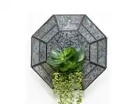 LivingStyles Adala Iron & Glass Wall Terrarium offer