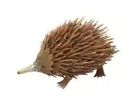 Nazario Rustic Metal Hedgehog Statue