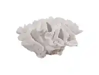 LivingStyles Waiheke Polyresin Coral Sculpture offer
