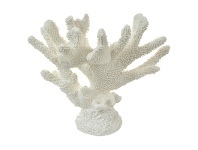 LivingStyles Moffats Anemone Coral Sculpture offer