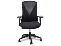 Brit Fabric Ergonomic Office Chair