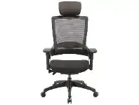 LivingStyles Natick Commercial Grade Fabric Ergonomic Executive Office Chair, Mesh Back offer