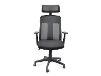 LivingStyles Skalo Mesh Fabric Office Chair, High Back offer