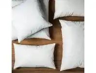 Orozco Duck Feather Cushion Insert, 45x45cm