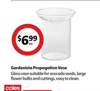 Coles Gardenista propagation vase offer