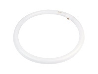 LivingStyles Allume Fluorescent Circular Tube, T9, 40W, 4000K offer